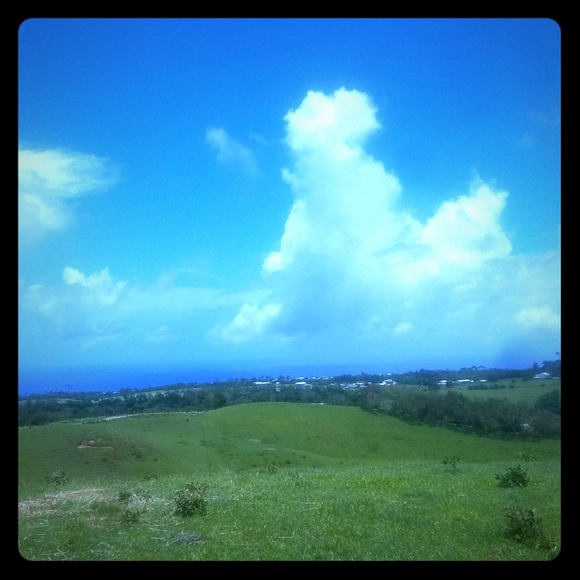 Meet your Posher, Sarita - Picture 1 of 1